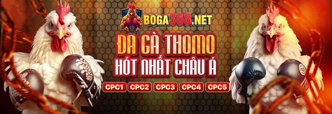 Khuyến mãi đá gà F79